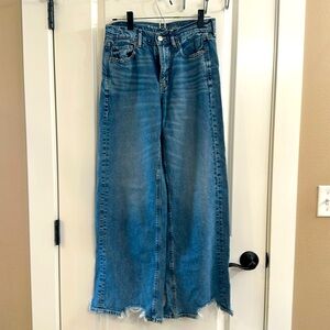 Baggy wide leg, dreamy, drape, American Eagle jeans